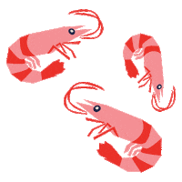 lebeaubazar shrimp vendee crevette lsdo Sticker