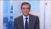 mimique GIF by franceinfo