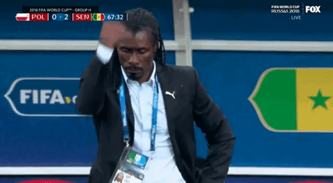 world cup yes GIF