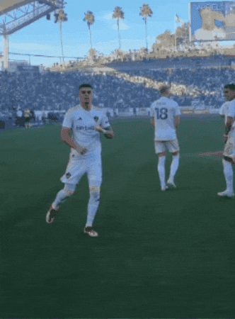 La Galaxy Love GIF by Major League Soccer