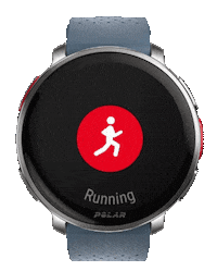 Polarhongkong sport run running hr Sticker