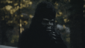 Patrick Renna bigfoot GIF by Houses