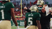 College Football GIF by USF Athletics