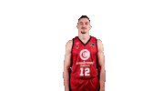 Liga Endesa Sport Sticker by ACB