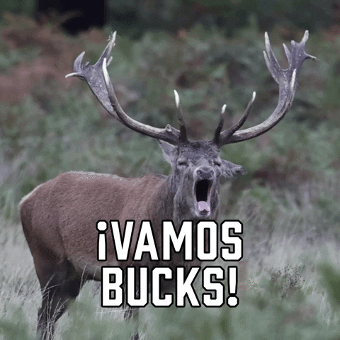 Milwaukee Bucks Sport GIF by Sealed With A GIF