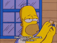 Season 7 Episode 25 GIF by The Simpsons