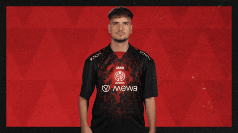 Mainz 05 Football GIF by Bundesliga