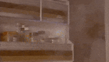bradcurrie ghostbusters dana zuul GIF