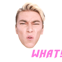 What Are You Talking About Sticker by Ansheles