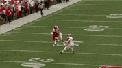 miami university GIF by Miami RedHawks Football