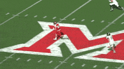 miami university GIF by Miami RedHawks Football