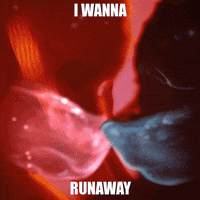 runaway GIF by Galantis