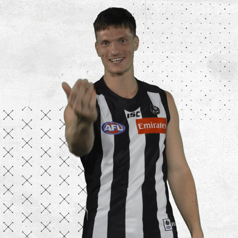 GIF by CollingwoodFC