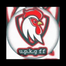 upkgff giphyupload giphycreatortest upkg ff upkgff GIF