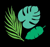 mavbeautybrands plants leaf leaves plantbased GIF