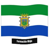 Bandera Malaga Sticker by Formación Ninja