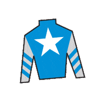 Sport Silk Sticker by Kentucky Derby
