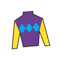 Sport Silk Sticker by Kentucky Derby
