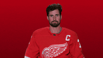 Red Wings Sport GIF by Detroit Red Wings