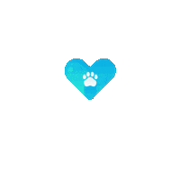 Pet Shockwave Sticker by PulseVet