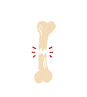 Healing Shockwave Sticker by PulseVet