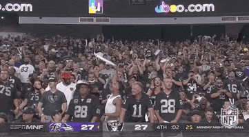 Las Vegas Raiders Football GIF by NFL