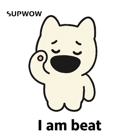 Tired Dog GIF by SUPWOW