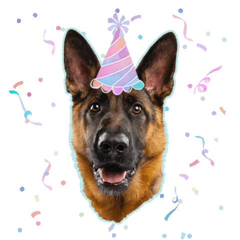 Happy Birthday Feliz Cumpleanos Sticker