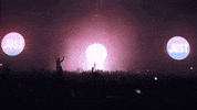 donbroco  GIF
