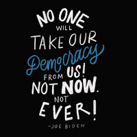 Election 2020 Biden GIF by Creative Courage