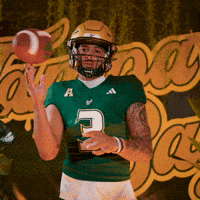 College Football GIF by USF Athletics