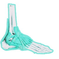 Hobby Lauf Sticker by Universal Music Deutschland