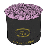 Valentines Day Love Sticker by Venus ET Fleur