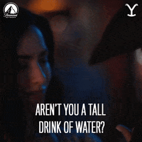 Paramount Network Flirting GIF by Yellowstone