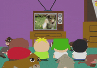 watching eric cartman GIF by South Park 