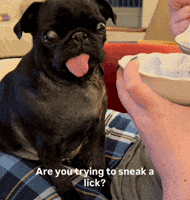 Ice Cream Potato GIF by the innernette