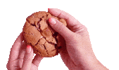 Cafe Cookie Sticker by SUGARFIN