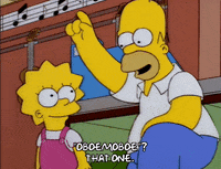 homer simpson episode 3 GIF