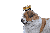 Cable Car Love Sticker by BursaTeleferik