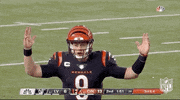 Nfl Playoffs Football GIF by NFL