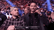 Alex Bregman Sport GIF by UFC
