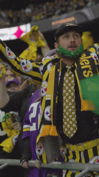 Excited Nfl GIF by Pittsburgh Steelers
