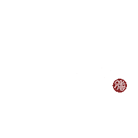 Happy Anniversary Sticker by Rad Red Creative