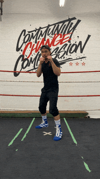 quinitboxing  GIF