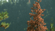 GIF by KQEDScience