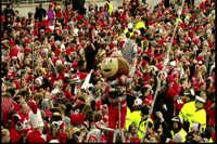 Brutus Buckeye Buckeyes Win GIF by Ohio State Athletics