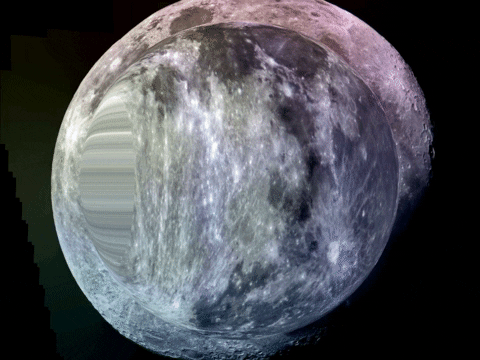 You Can Wow GIF by FranchiseONE.de