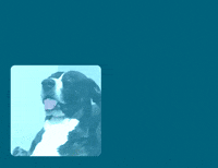 Culturabv GIF by Comunicação banco BV
