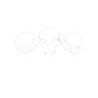 Skull Sticker by Galfer Brakes