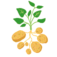 Plants Grow Sticker by Calbee_jp